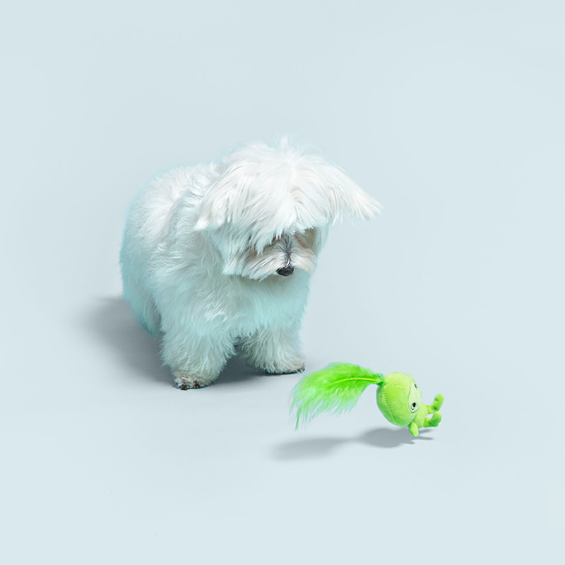 [유나이티드펫츠] 젬마 내추럴 프렌즈 시리즈 반려동물 장난감